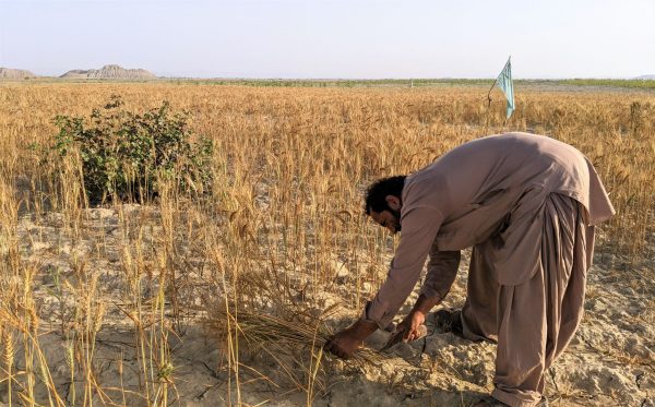 Balochistan activist sentencing: The Worst Brutality Exposed