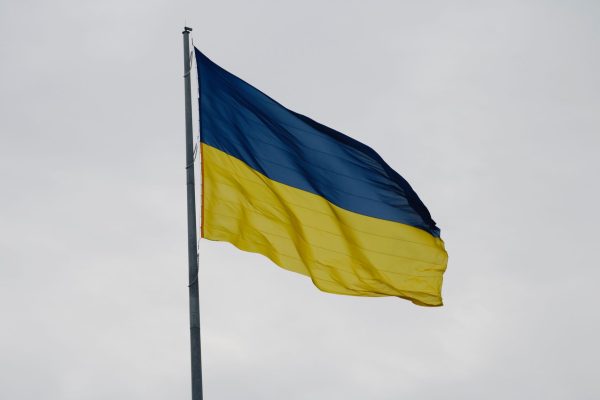 EC’s Independence Must Be Visible: A Clear Legal Perspective