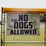 deportation rules for migrants